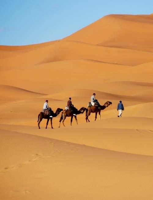 how to get from marrakech to merzouga