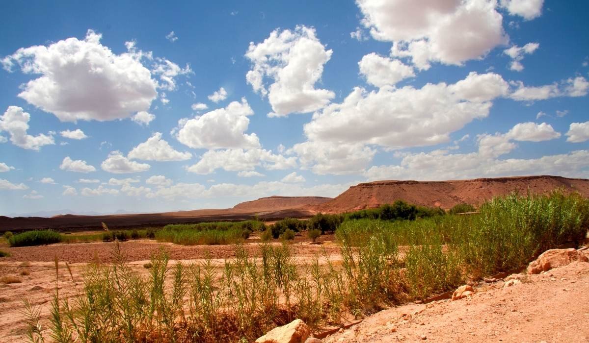 2 days marrakech to zagora desert tour