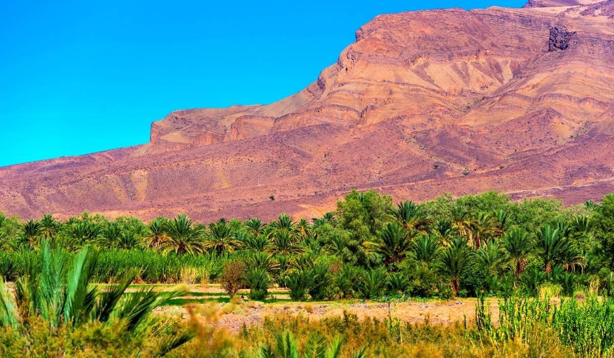 2 days marrakech to zagora desert tour