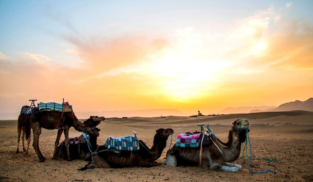 2 days marrakech to zagora desert tour