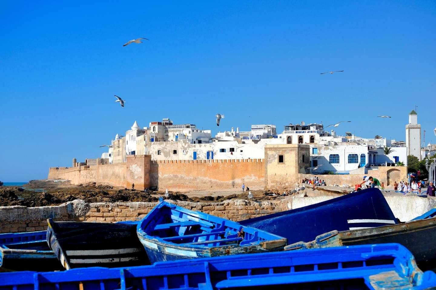 essaouira day trip from marrakech