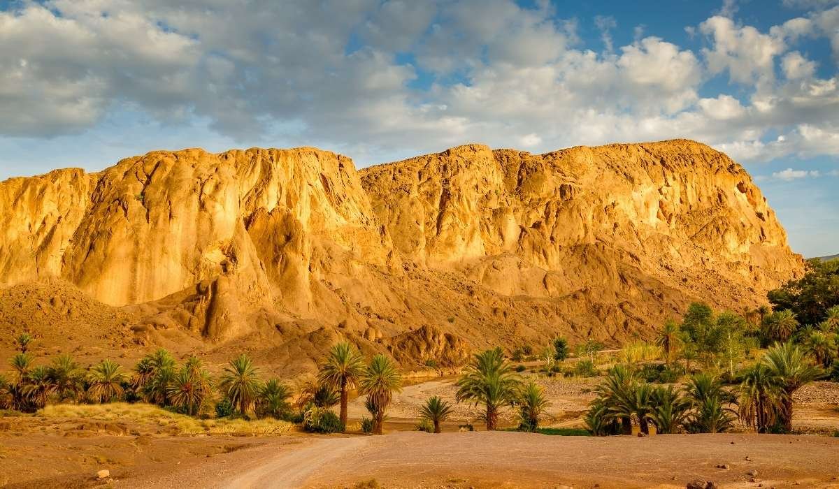 ouarzazate day trips