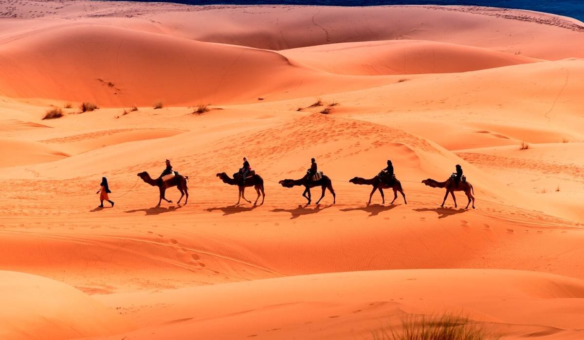 9 days deep south tour from marrakech