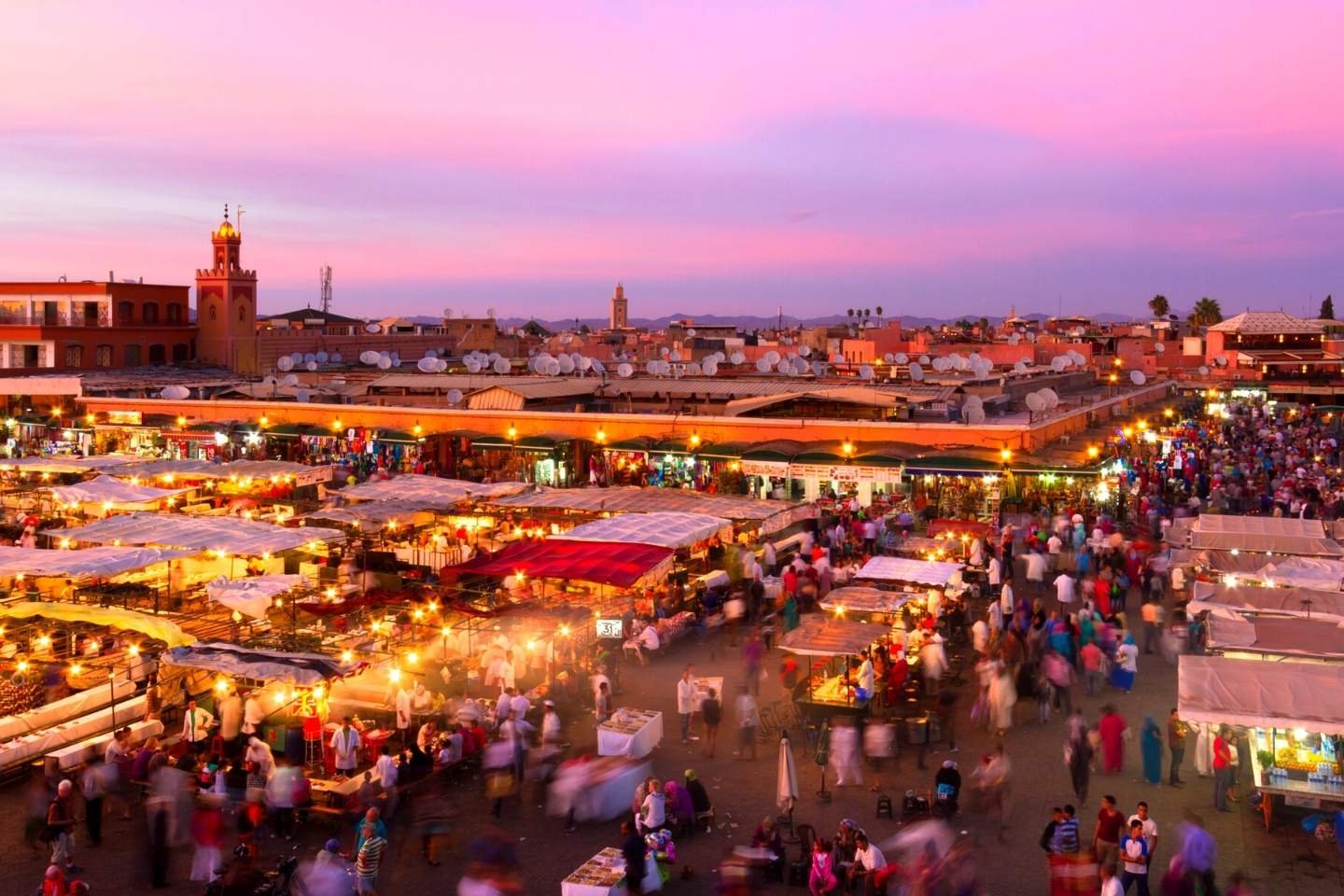 tours from marrakech