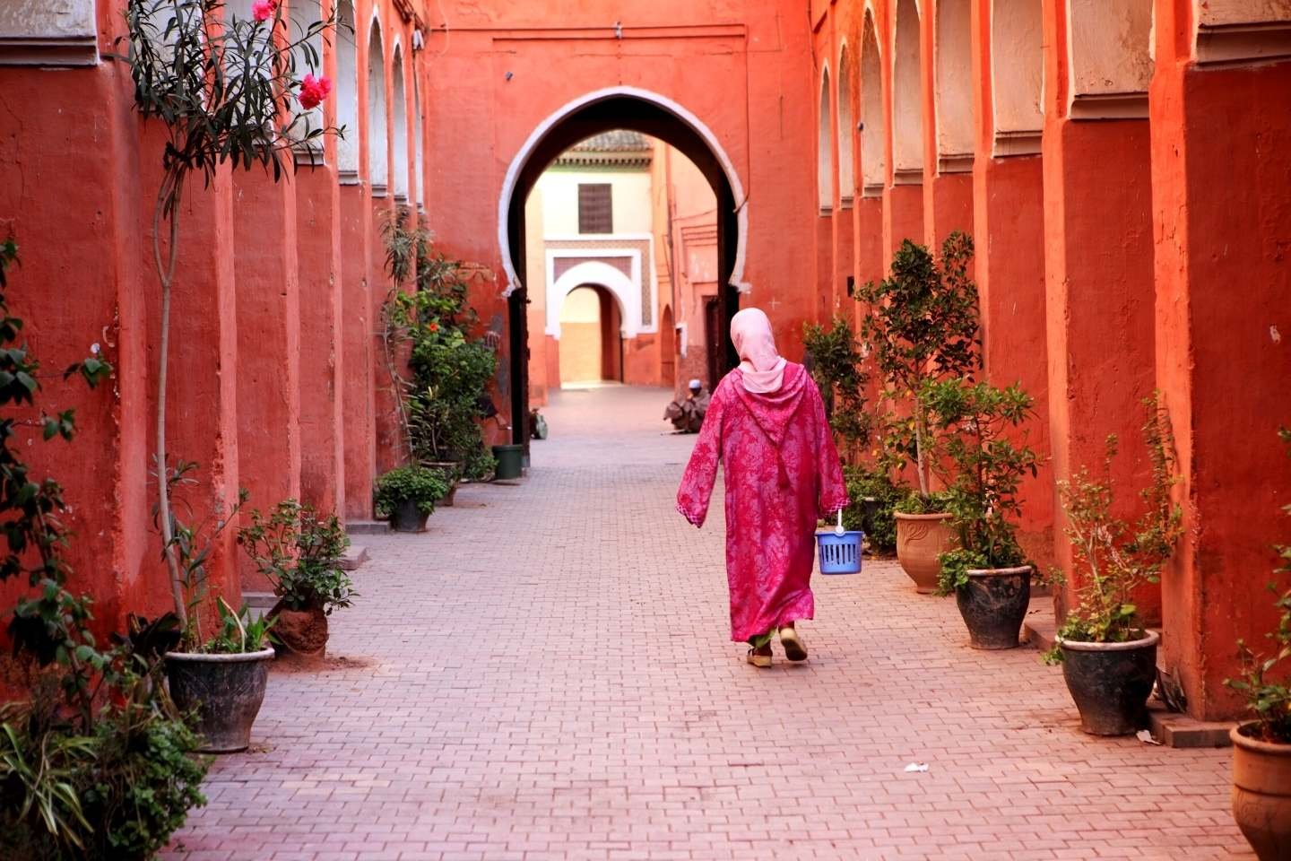 tours from marrakech