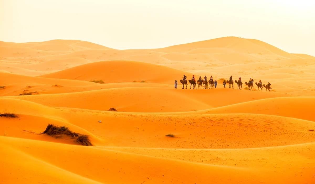 4 days sahara expedition tour from ouarzazate