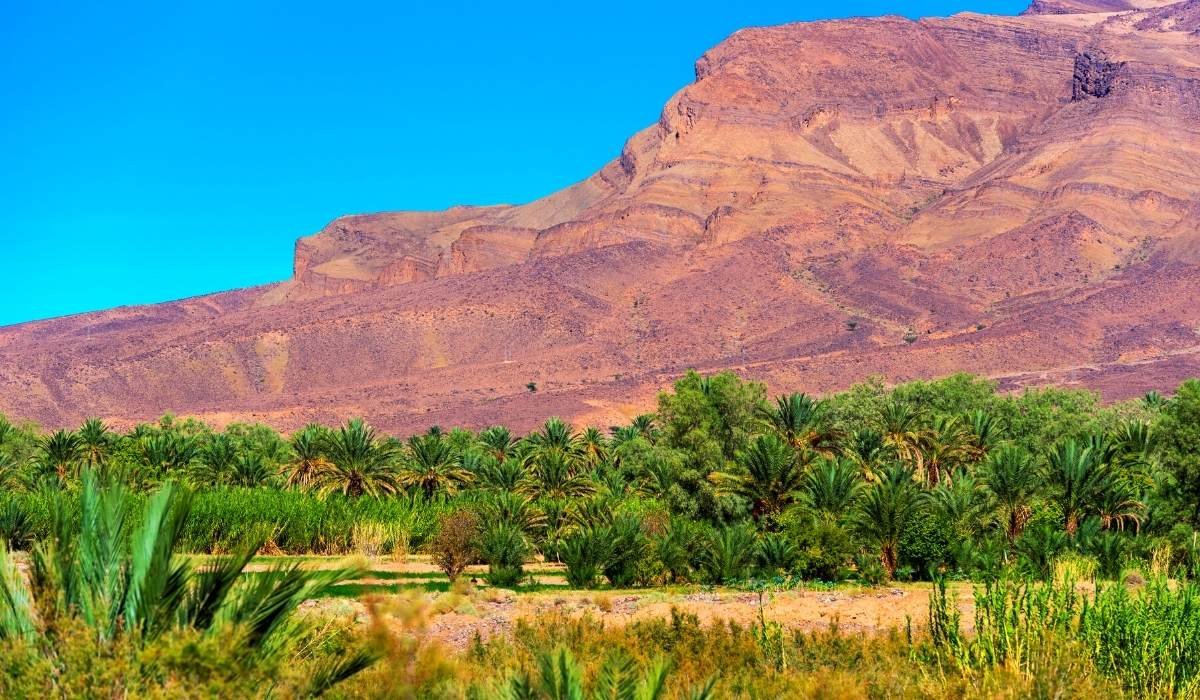 4 Days Sahara Expedition Tour from Ouarzazate